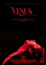 Póster de Venus no es Santo