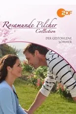 Póster de Verano robado