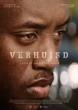 Póster de Verhuisd