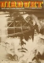 Póster de Viadukt