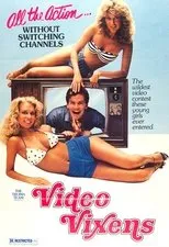 Póster de Video Vixens!