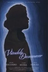 Póster de Viéndolo Desvanecer