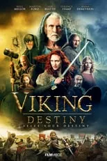 Póster de Viking Destiny