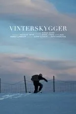 Póster de Vinterskygger