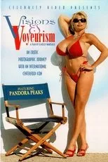 Póster de Visions and Voyeurism