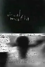 Póster de Visual Mafia