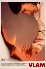 Póster de Vlam