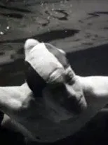 Póster de Vom Trockenschwimmer