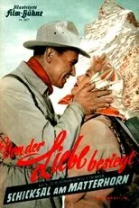 Póster de Von der Liebe besiegt