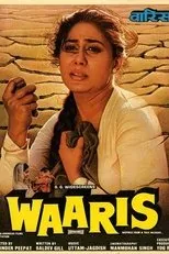 Póster de Waaris