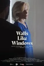 Póster de Walls Like Windows