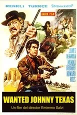 Póster de Wanted Johnny Texas