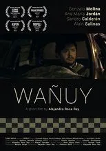 Póster de Wañuy