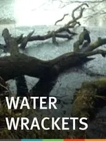 Póster de Water Wrackets