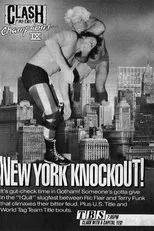 Póster de WCW Clash of The Champions IX: New York Knockout