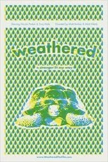 Póster de Weathered