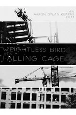 Póster de Weightless Bird In A Falling Cage