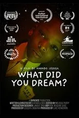 Póster de What Did You Dream?