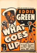 Póster de What Goes Up