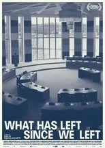 Póster de What has left since we left