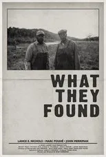 Póster de What They Found