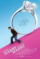 Póster de When Harry Tries to Marry