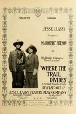 Póster de Where the Trail Divides
