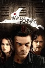 Póster de White Rabbit
