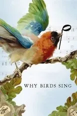 Póster de Why Birds Sing