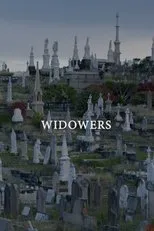 Póster de Widowers