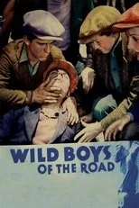 Póster de Wild Boys of the Road