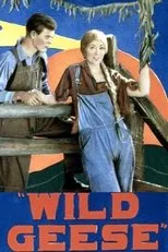 Póster de Wild Geese