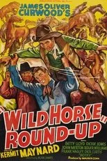 Póster de Wild Horse Round-Up