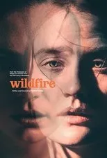 Póster de Wildfire