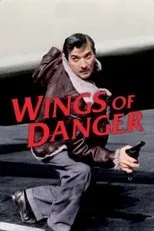 Póster de Wings of Danger