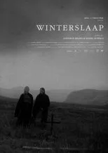 Póster de Winterslaap