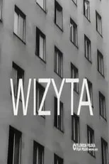 Póster de Wizyta