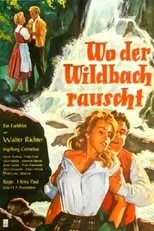 Póster de Wo der Wildbach rauscht