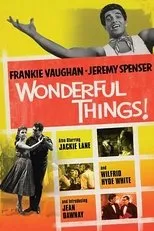 Póster de Wonderful Things