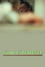 Póster de Work Experience