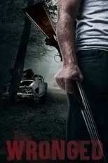 Póster de Wronged