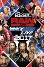 Póster de WWE Best of Raw & SmackDown Live 2017