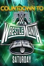 Póster de WWE Countdown to WrestleMania XL Saturday