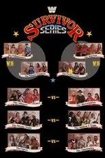 Póster de WWE Survivor Series 1990