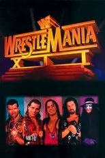Póster de WWE WrestleMania XII