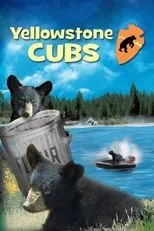 Póster de Yellowstone Cubs