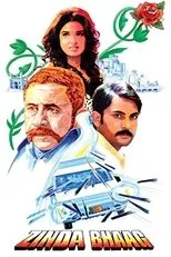 Póster de Zinda Bhaag