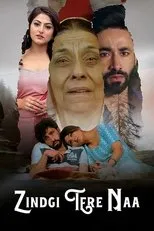 Póster de Zindgi Tere Naa