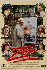 Póster de Zorn