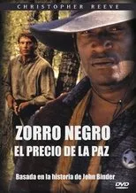 Póster de Zorro Negro II